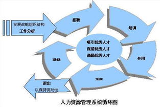 陈晓亮 精益管理在人力资源管理方面的应用